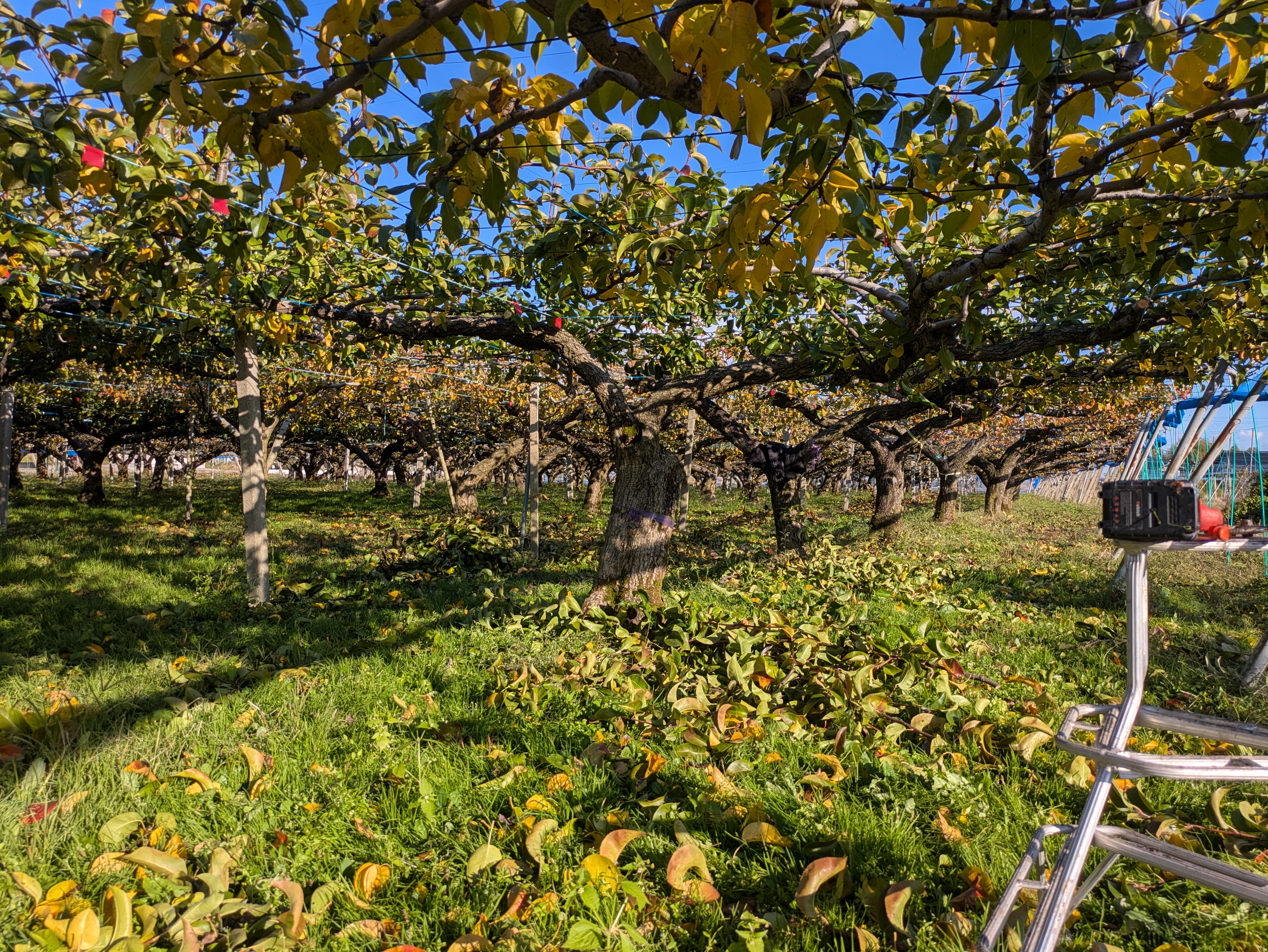 PXL_20251114_233426824