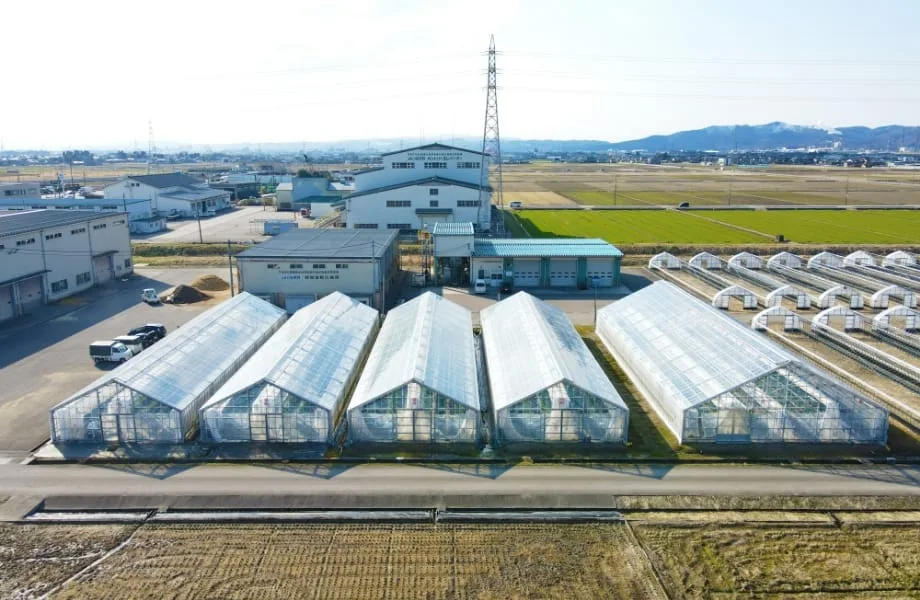 アグリッチ農園本拠点